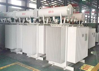 變壓器安裝竣工投運前均應現場吊芯檢查